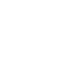 TEKNA Café